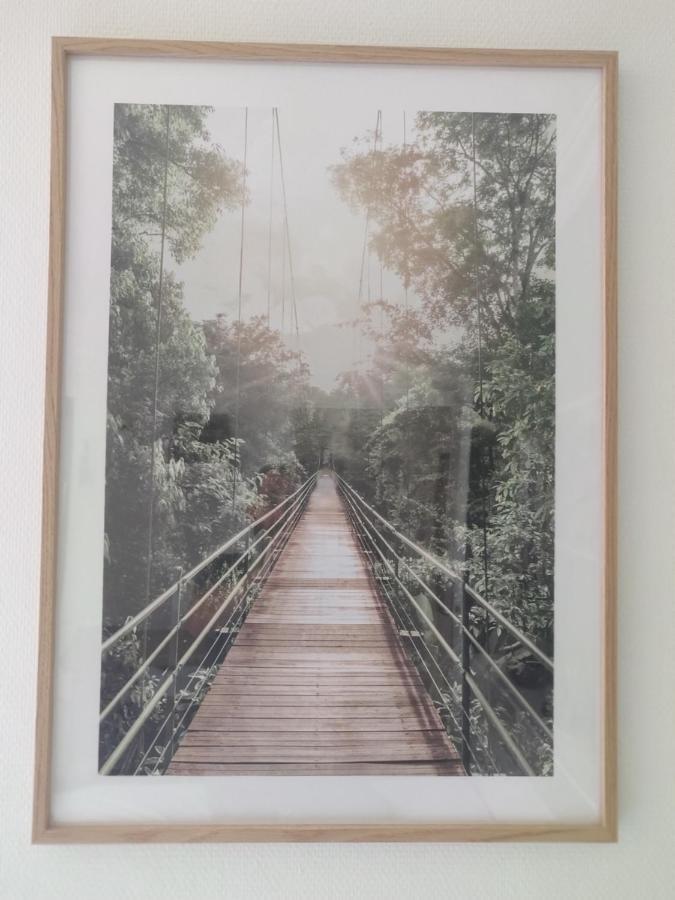 Le Paquier - Mycosyapart, Vieille Ville, Calme, Lac 100M, Netflix Annecy Exteriér fotografie